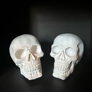 Skull decorations for Halloween